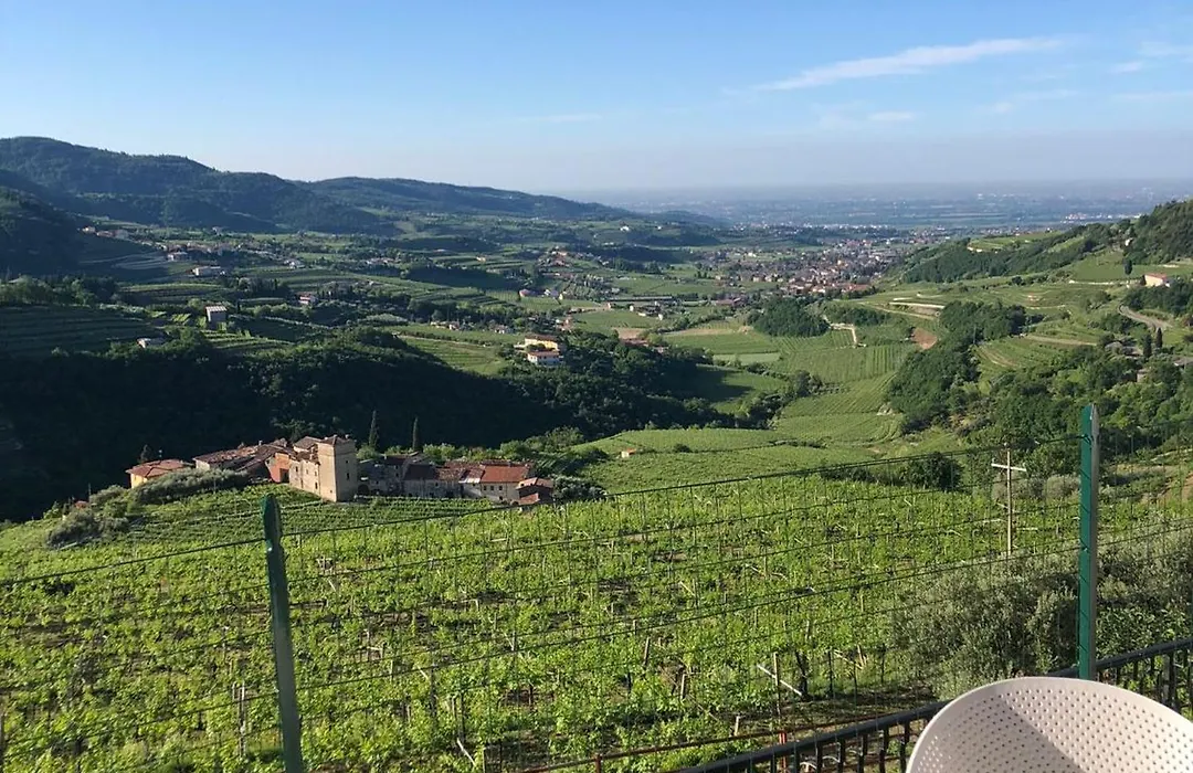 Villa Allegri Agriturismo di Charme-1